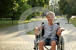 Happy little boy in wheelchair at park on sunny day.  for text