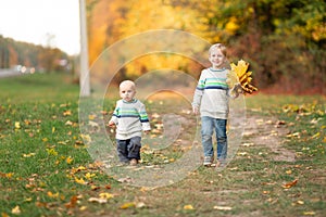 Happy little boys with autumn leaves in the park