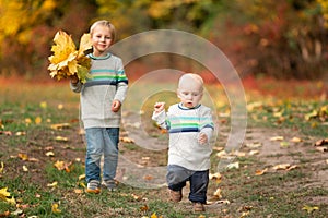 Happy little boys with autumn leaves in the park