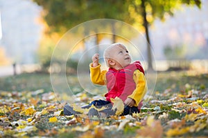 Happy little child, baby boy, laughing and playing in the autumn