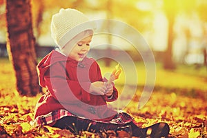 Happy little child, baby girl laughing and playing in autumn