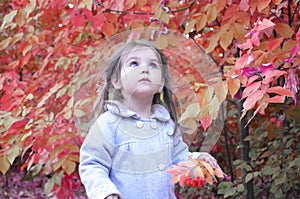 Happy little child, baby girl laughing and playing in the autumn on the nature walk outdoors