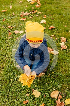 Happy little child, baby girl laughing and playing in the autumn on the nature walk outdoors. Kid play in autumn park