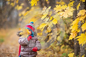 Happy little child, baby girl laughing and playing leaves in the autumn on the nature walk outdoors