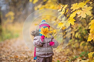 Happy little child, baby girl laughing and playing leaves in the autumn on the nature walk outdoors