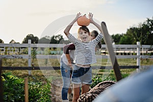 Happy little farmer girl holding organic pumpkin outdoors at community farm.