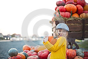 Happy little girl at the autumn pumpkin patch background. Having fun. Toned in retro style