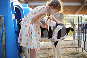 Happy little girl caresses small calf at cow farm