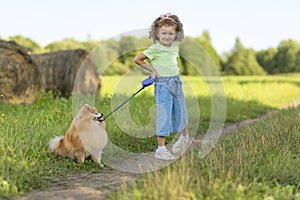 Happy little girl with dog in park, summer field. child playing with puppy outdoors. baby owner walking Pomeranian spitz on the wa