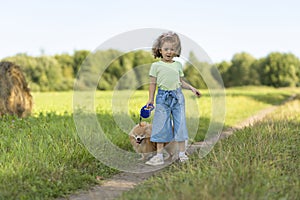 Happy little girl with dog in park, summer field. child playing with puppy outdoors. baby owner walking Pomeranian spitz on the wa