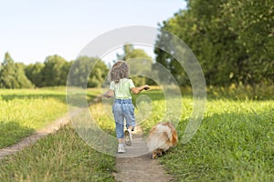 Happy little girl with dog walking in park, running along summer field. child playing with puppy outdoors.