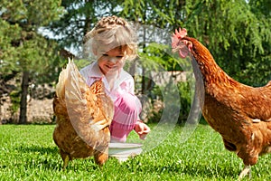 Happy little girl feeding chickens