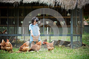 Happy little girl feeding chickens in front of chicken farm.