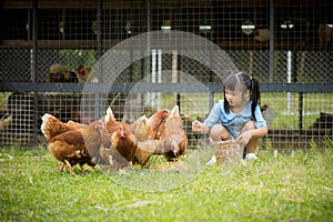 Happy little girl feeding chickens in front of chicken farm