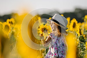 Happy little girl on the field of sunflowers in summer. beautiful little girl in sunflowers