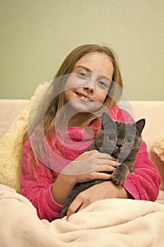 Happy little girl with grey cat in bed. Chartreux cat. British Shorthair breed. Korat grey cat in hands of smiling girl