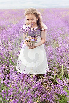 Happy little girl in lavender field with basket of