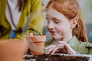 Happy little girl looking at growing plant in a pot.