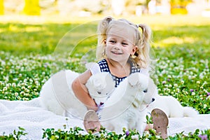 Happy little girl playing with Samoyed puppy