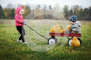 Happy little girl on pumpkin patch on cold autumn day, with a lot of pumpkins for halloween or thanksgiving