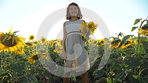 Happy little girl running happy free across the field with sunflowers. slow motion video. smelling big sunflower on
