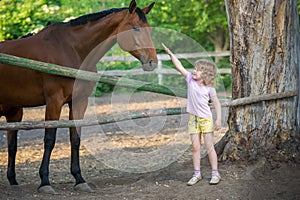 Happy little girl stroking a horse, standing near the fence in the stable