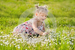 Happy little girl in summer dress with pigtails in a green field of summer grass with flowers