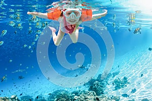 A happy, little girl with water wings snorkeling in the tropical, blue sea