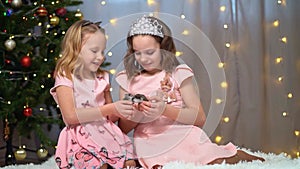 happy little girls in pink dresses play with a hamster at the Christmas tree.