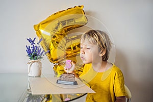 Happy little kid boy celebrating his birthday and blowing candles on homemade baked cake, indoor. Birthday party for