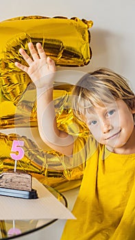 Happy little kid boy celebrating his birthday and blowing candles on homemade baked cake, indoor. Birthday party for