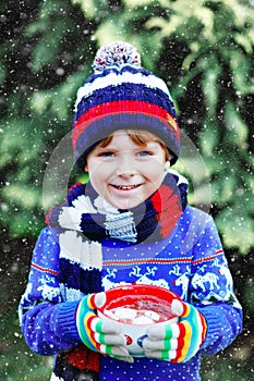 Happy little kid boy drinking hot cocoa and chocolate drink and marshmallows. Funny child in winter sweater, cap, long