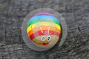 Happy Little Rainbow and Gold Bug Painted on A Rock