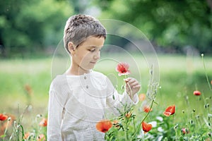 Happy little smiling boy standing and smiling in poppy field