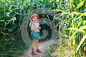 Happy little toddler girl playing on corn labyrinth field on organic farm, outdoors. Funny child hild having fun with