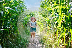 Happy little toddler girl playing on corn labyrinth field on organic farm, outdoors. Funny child hild having fun with