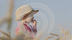 Happy little toddler in hat eats bread while standing in wheat field at sunset. Summer country life and agriculture
