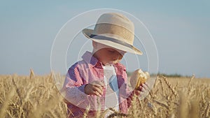 Happy little toddler in hat eats bread while standing in wheat field at sunset. Summer country life and agriculture