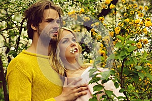 Happy loving couple in park. cherry, yellow flowers in blossom