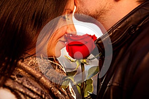 Amorous guy gently kissing his girl with red rose