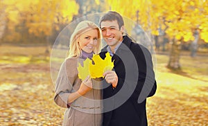 Happy loving young couple holding yellow maple leaves in autumn park on warm sunny day