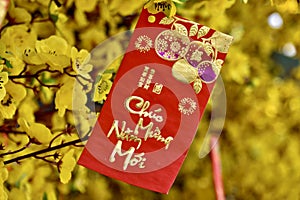 Happy Lunar New Year Envelope Closeup