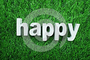 Happy made from concrete alphabet top view on green grass