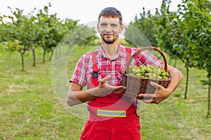 Happy man agronomist shows good harvest of raw hazelnuts holding full nuts basket in hands in garden