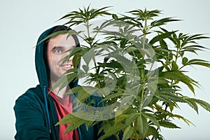 Happy man with cannabis plant