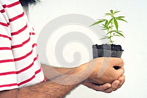 Happy man with cannabis plant