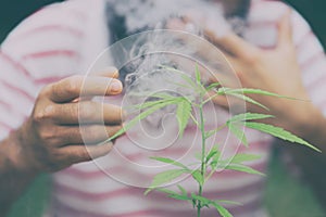 Happy man with cannabis plant