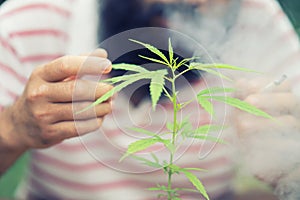 Happy man with cannabis plant