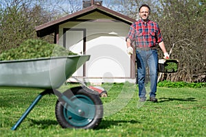 Happy man in a checked shirt carry a full of grass lawnmower container to emptying it into a wheelbarrow