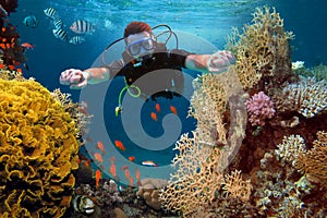 The happy man dives among corals and fishes